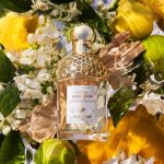 Guerlain Aqua Allegoria Bergamota Calabria Eau de Toilette Spray 125 ml - Image 2
