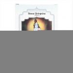 Semi-permanente kleurstof Henna Radhe Shyam Shyam Henna (100 g) - Image 2
