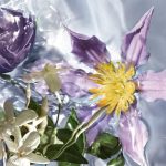 Aqua Allegoria Flora Salvaggia Eau De Toilette (edt) 125ml - Image 2