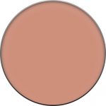 Clinique Compact Poeder Clinique Foundation Blushing Blush Compact Poeder Powder Blush 6 gr - Image 21