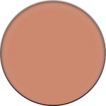 Clinique Compact Poeder Clinique Foundation Blushing Blush Compact Poeder Powder Blush 6 gr - Image 22