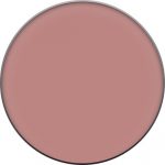 Clinique Compact Poeder Clinique Foundation Blushing Blush Compact Poeder Powder Blush 6 gr - Image 21