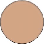 Clinique Compact Poeder Clinique Foundation Compact Poeder Almost Powder Makeup SPF15 - Image 23