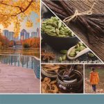 Yankee Candle Evening Riverwalk Signature Medium Jar - Image 4