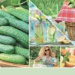 Yankee Candle - Cucumber Mint Cooler Signature Medium Jar - Image 3