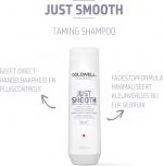 Goldwell Dualsenses Just Smooth Taming Shampoo -250ml - Normale shampoo vrouwen - Voor Alle haartypes - Image 2