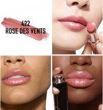DIOR ADDICT LIPSTICK BARRA DE LABIOS 422 1UN - Image 2