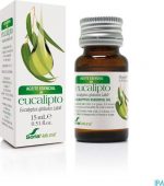 Eucalyptus Globulus Sor - Image 2