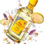 Uniseks Parfum Alvarez Gomez EDC