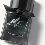 Burberry Mr. Burberry EDP M 50 ml