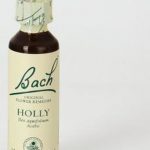 Bach 15 Holly 20ml
