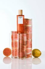 Loewe - Herenparfum - Solo - Eau de toilette 100 ml - Image 3