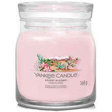 553427_desert_blooms_signature_candle_vonna_svicka