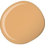 Estée Lauder Double Wear Stay-in-Place Foundation met SPF10 30 ml - 3C2 Pebble - Image 5