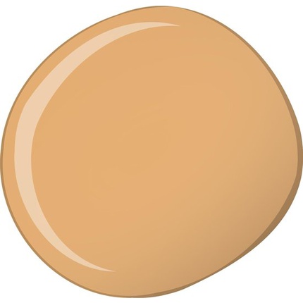 9770_f6136f4adfdb553c5716bfb8d7fc0da0 Estee Lauder Double Wear Stay in place Foundation 4n1 Shell Beige With Spf 10 - Image 1