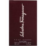 Salvatore Ferragamo Pour Homme EDT M 100 ml - Image 3