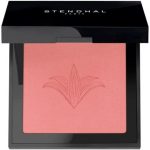 Stendhal Illuminating Blush 301 Rose Nevada 5.5g