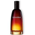 Dior (Christian Dior) Fahrenheit EDT M 100 ml - Image 2