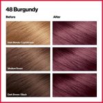 Revlon Colorsilk Beautiful Color 48 Brown Hair Coloring - Image 2