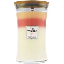 NittWmJuRW0waW9saUk3M0tHQzJ5SlZYQlpVPQ Blooming Orchard Trilogy Váza ( rozkvetlý sad ) - Vonná svíčka 275.0g - Image 1