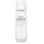 Goldwell Dualsenses Just Smooth Taming Shampoo 1000 ml