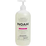 Noah Color Protect Champu 1000ml