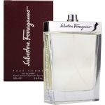 Salvatore Ferragamo Pour Homme EDT M 100 ml