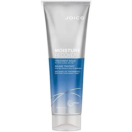 nxtGPfhjdHcUta7cmamz2q Joico Moisture Recovery Conditioner 250 Ml - Image 1