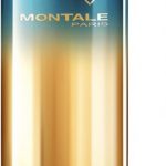 Montale Aoud Lagoon EDP U 100 ml