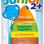 Groeimelk Nestle Junior Galleta (1 l)