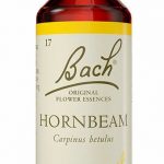 Food Supplement Bach Hornbeam 20 ml