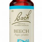 Food Supplement Bach Beech 20 ml