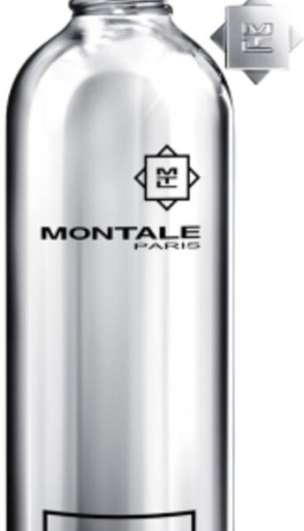 MONTALE Fougerès Marine Eau De Parfum Spray 100 ml