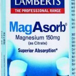 Lamberts Voedingssupplementen Lamberts Magasorb 60tab