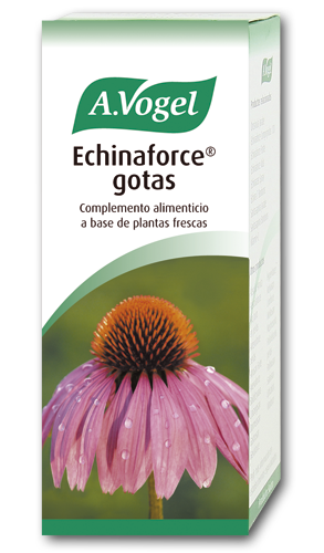 462973_aab0eed56cf444c535289dcc7130ad91 Vogel Echinaforce 100ml - Image 1
