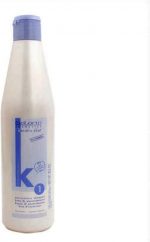 Anti-Frizz Shampoo Salerm - Image 2