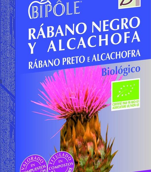 Intersa Bipole Rabano Negro Alcachofa