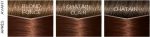 Dye No Ammonia Casting Creme Gloss L'Oreal Make Up Chocolate - Image 3