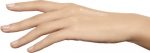 EVER MATTE poudre libre  01 universal light 15 gr - Image 4