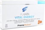 Prisma Nat Plantavital - Energy 20 Ampollas 10ml - Image 2
