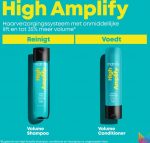 Total Results High Amplify Protein Shampoo For Volume - Shampoo For Hair Volume 300ml - Image 4