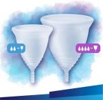 Tampax Menstruatiecup Regular - Ontworpen Met Een Gynaecoloog - 1 stuk - Image 3