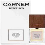 Carner Barcelona Ambar Del Sur eau de parfum spray 100 ml - Image 4