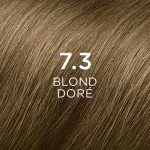 Permanent Colour PHYTO PhytoColor 7.3-rubio dorad Ammonia-free - Image 2