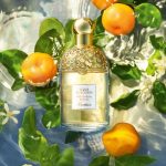 Guerlain Aqua AlLegoria Mandarine Basilic Eau De Toilette Spray 125 Ml For Women - Image 2