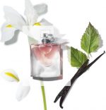 Lancome La Vie Est BElle Body Lotion  Nourishing Fragrance  200 ml for Women - Image 2
