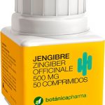 Botanicapharma Ginger 500mg 50 Tablets