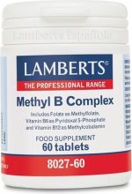 Lamberts Methyl B Complex Complemento Alimentício 60 Capsules - Image 2