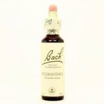 Bach 28 Scleranthus 20ml