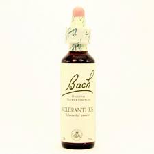 Product_ImageIds_5207780_b198807f Bach 28 Scleranthus 20ml - Image 1